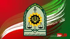 توضیحات سرهنگ نمک‌شناس درباره بازداشت بازیگر معروف در تهران