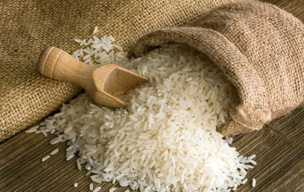 قیمت برنج ایرانی در مرداد ۱۴۰۵؛ کیسه ۱۰ کیلویی هاشمی به مرز ۶ میلیون تومان رسید