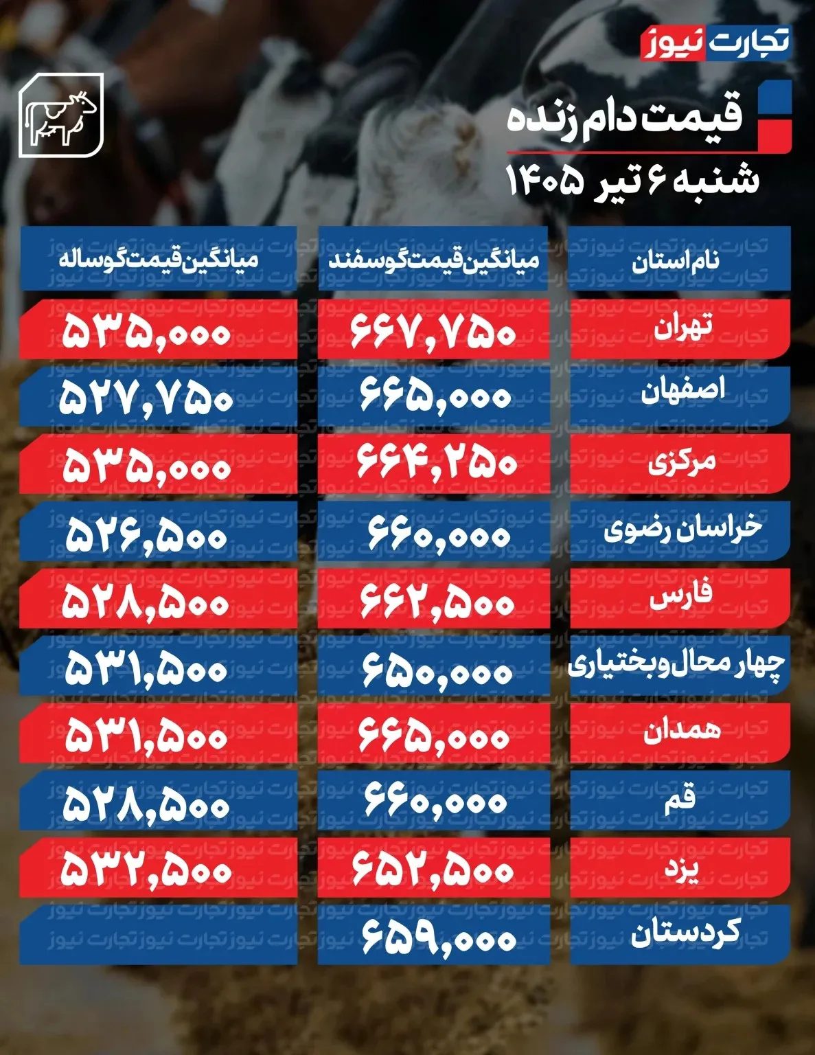 قیمت جدید دام زنده امروز ۶ تیر ۱۴۰۵ / قیمت گوسفند چند شد؟ + جدول