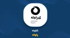 دو مناقصه، صفر متقاضی؛ پلوله تجهیزات خط تولیدش را از کجا می‌خرد؟