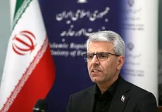 واکنش اسماعیل بقائی به تخلیه ۲۱۱ بیمار