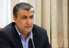 گزارش حادثه هواپیمای اوکراینی به زودی در دسترس مردم قرار می گیرد