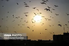افزایش دمای هوا در کشور