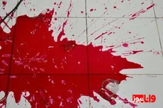 جزئیات پرونده قتل برادرزن در جنوب تهران: از اعترافات متهم تا درخواست قصاص