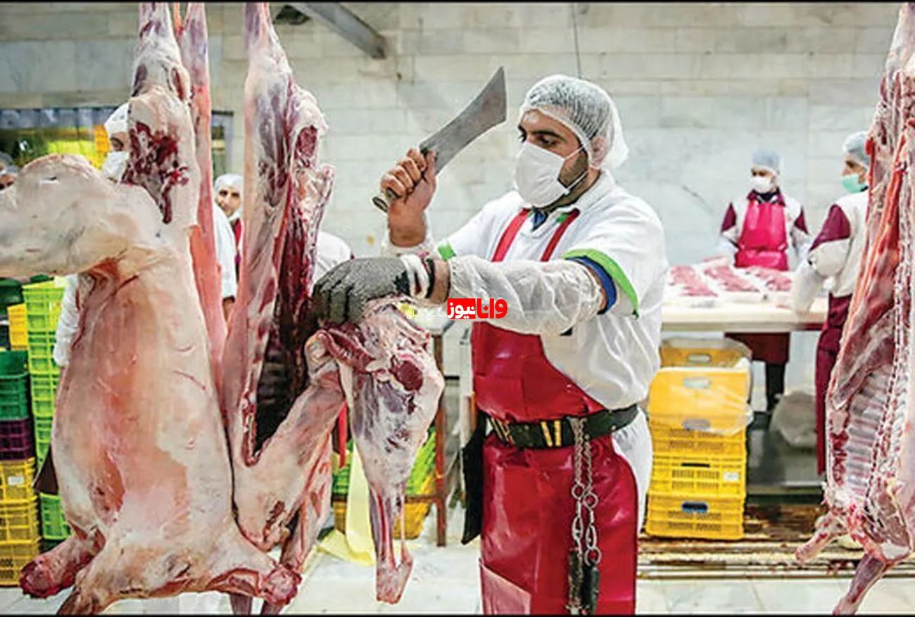 دام زنده ارزان شد، گوشت نه؛ گره قیمت گوشت قرمز کجاست؟