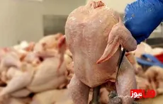 قیمت گوشت مرغ امروز ۴ اردیبهشت ۱۴۰۴ / سینه مرغ کیلویی چند؟