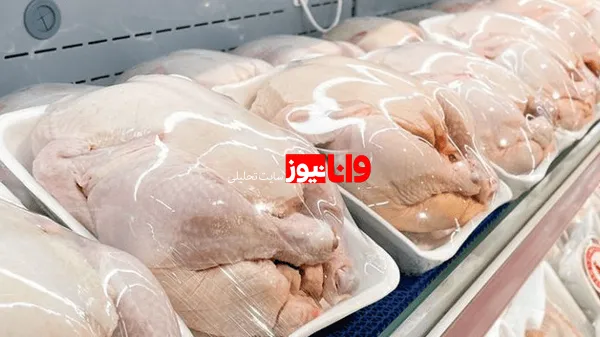 مرغ