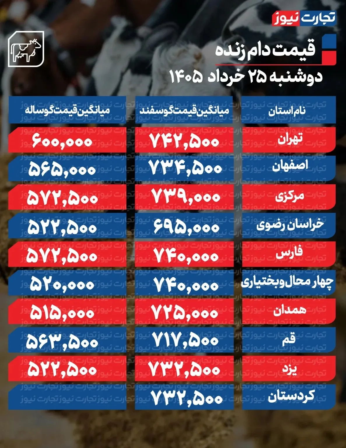 قیمت جدید دام زنده امروز ۲۵ خرداد ۱۴۰۵/ قیمت گوسفند و گوساله تغییر کرد؟ + جدول