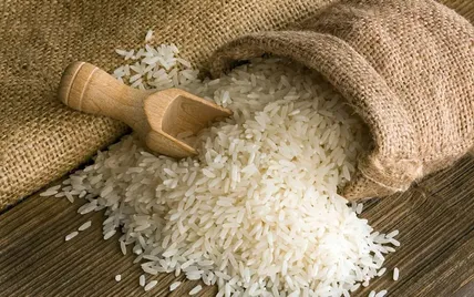 شوک تازه به بازار برنج هندی در شهریور ۱۴۰۵؛ چرا کیسه ۱۰ کیلویی تا ۳.۲ میلیون تومان گران شد؟