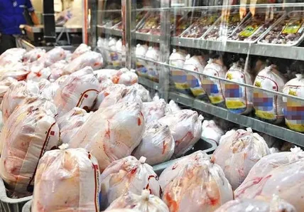 شوک جدید به بازار مرغ / قیمت واقعی هر کیلو مرغ اعلام شد