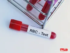 RBC در آزمایش خون چیست؟