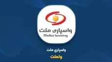ولملت زیر ذره‌بین ناظر؛ توقف واسپاری ملت با ظن دستکاری بازار چه معنایی دارد؟