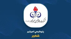 پشت رشد درآمد شکبیر چه خبر است؟ ۵۳ درصد کمتر فروخت اما ۲۷ درصد پول بیشتری ساخت