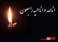 ایرج خواجوی درگذشت / خواجوی که بود؟