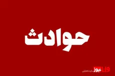 آدم‌ربایی ناکام مرد برجساز در پایتخت/ دسیسه شریکانم است
