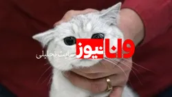 جایزه ۳۰ هزار دلاری برای به دام انداختن 