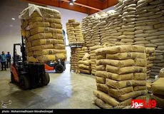 فروش ۱۸۰ میلیارد تومانی محموله بزرگ چای دبش در حراج حضوری