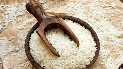 لیست قیمت انواع برنج ایرانی ۲۶ اردیبهشت ۱۴۰۵ + جدول