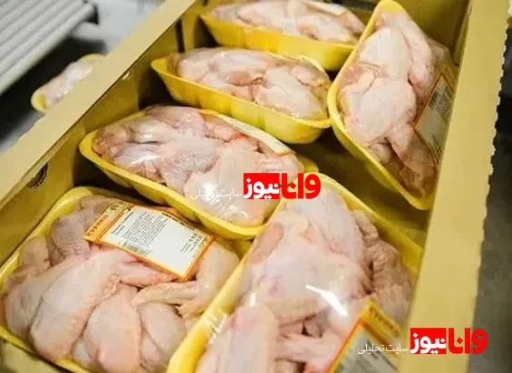 قیمت مرغ گران شد؛ فیله کیلویی ۲۹۹ هزار تومان +جدول