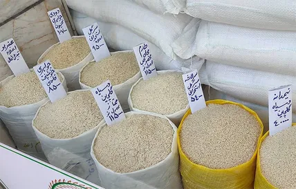 قیمت انواع برنج ایرانی در بازار+ جدول خردادماه ۱۴۰۵