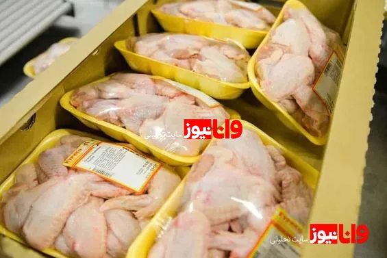 مرغ در آستانه شب یلدا ارزان شد