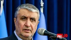 اسلامی: نمی‌خواهند ایران از سال دهم برجام استفاده کند