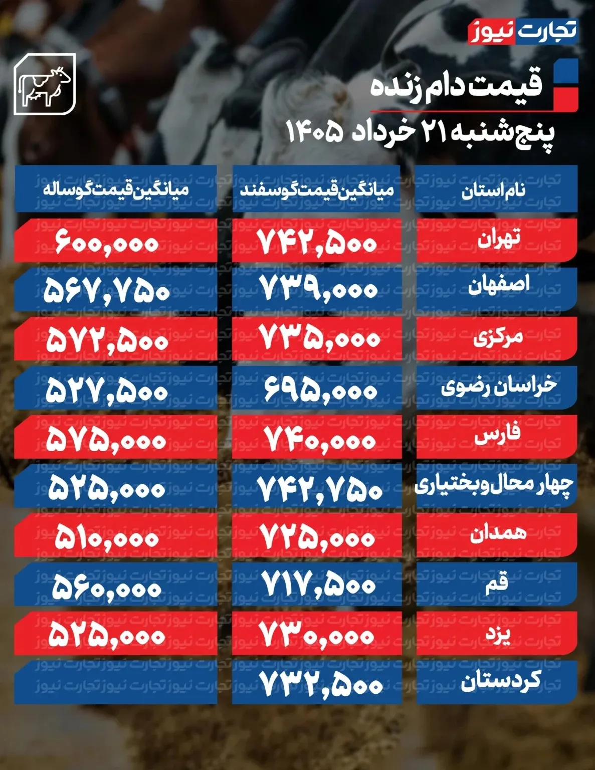 قیمت جدید دام زنده امروز ۲۱ خرداد ۱۴۰۵/ گوساله در تهران چند شد؟ + جدول