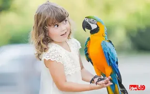 ایده‌ها و نکات کامل برای انتخاب اسم برای طوطی