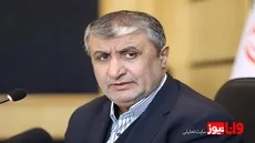 واکنش محمد اسلامی به بی‌عملی آژانس بین‌المللی انرژی اتمی